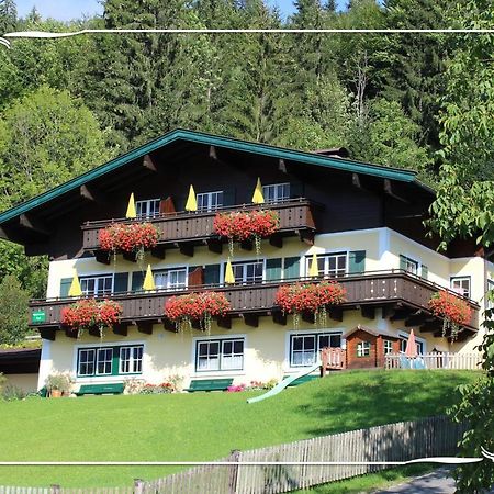 Апартаменти Haus Bartlmae Лофер Екстер'єр фото